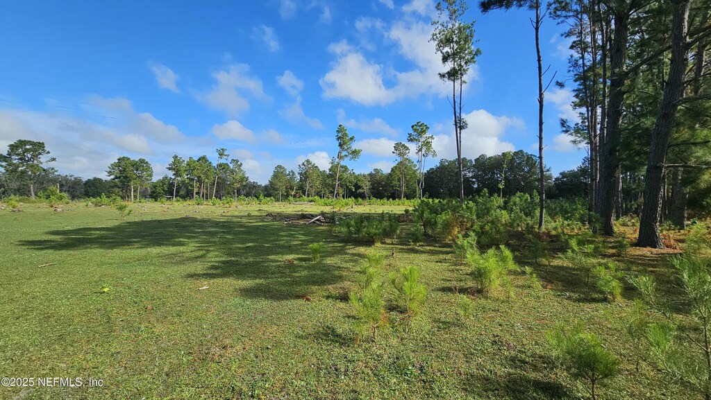 0 NE 199th St, Waldo, FL 32694 - photo 1