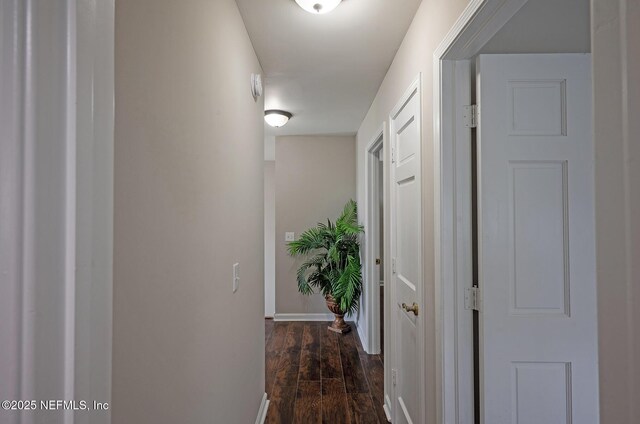668 Fingal Dr, Orange Park, FL 32073 - photo 55
