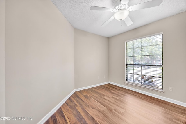 3805 Tallcott Dr, Jacksonville, FL 32246 - photo 24