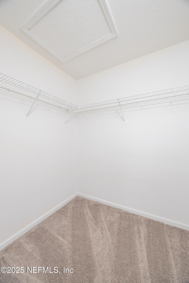 246 Moultrie Village Ln, Saint Augustine, FL 32086 - walk in closet with carpet