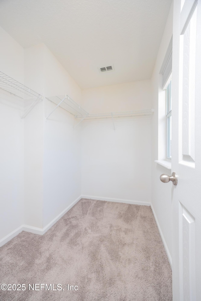 246 Moultrie Village Ln, Saint Augustine, FL 32086 - walk in closet featuring carpet floors