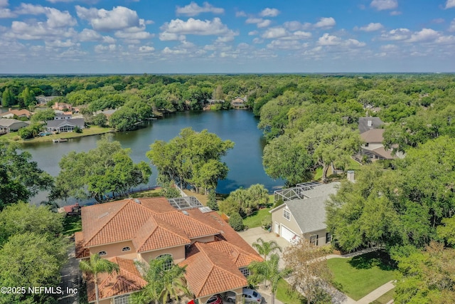 6623 Crescent Lake Dr, Lakeland, FL 33813 - photo 43