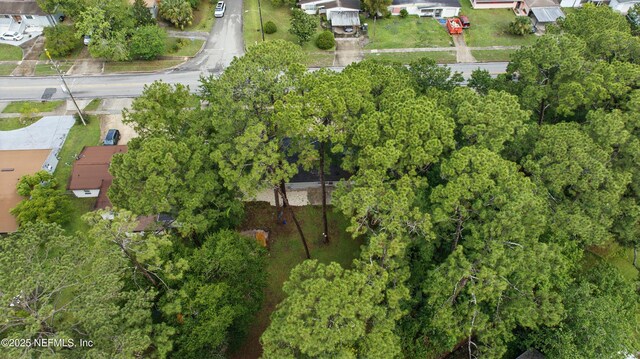 4143 Spring Glen Rd, Jacksonville, FL 32207 - photo 28