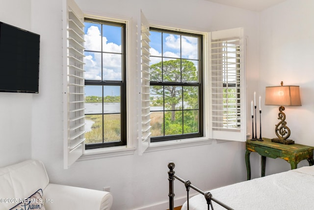 2315 Vista Cove Rd, Saint Augustine, FL 32084 - bedroom with multiple windows and baseboards