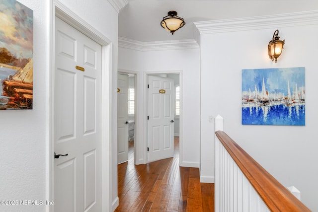 2315 Vista Cove Rd, Saint Augustine, FL 32084 - hallway featuring dark wood-style floors, ornamental molding, and baseboards