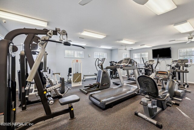 2315 Vista Cove Rd, Saint Augustine, FL 32084 - exercise room featuring ceiling fan