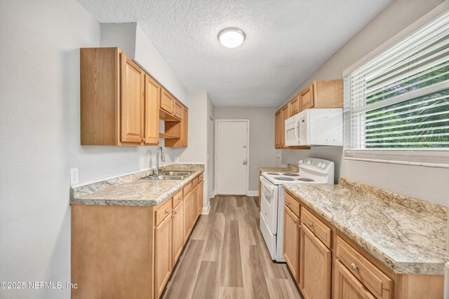 1682 Hiram St, Jacksonville, FL 32209 - photo 9