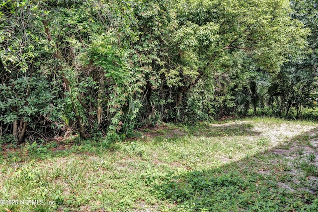 1682 Hiram St, Jacksonville, FL 32209 - photo 21