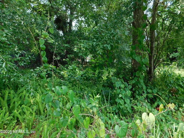 1585 W 27th, Jacksonville, FL 32209
