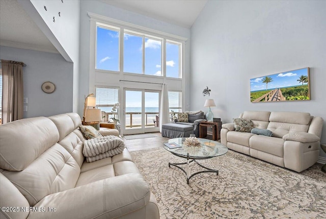 2943 S Ponte Vedra Blvd, Ponte Vedra Beach, FL 32082 - living area featuring high vaulted ceiling, wood finished floors, and a water view