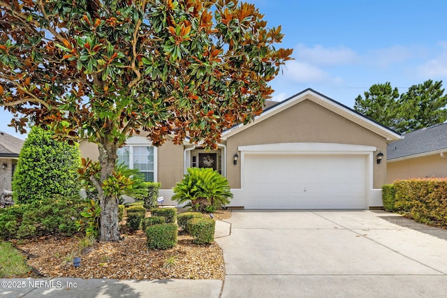 12433 Cadley Cir, Jacksonville, FL 32219 - photo 1