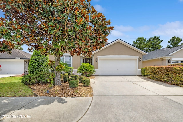12433 Cadley Cir, Jacksonville, FL 32219 - photo 8