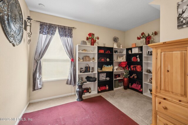 12433 Cadley Cir, Jacksonville, FL 32219 - photo 31