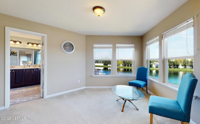12237 Woodview Dr, Jacksonville, FL 32246 - living area with light carpet, a water view, and baseboards