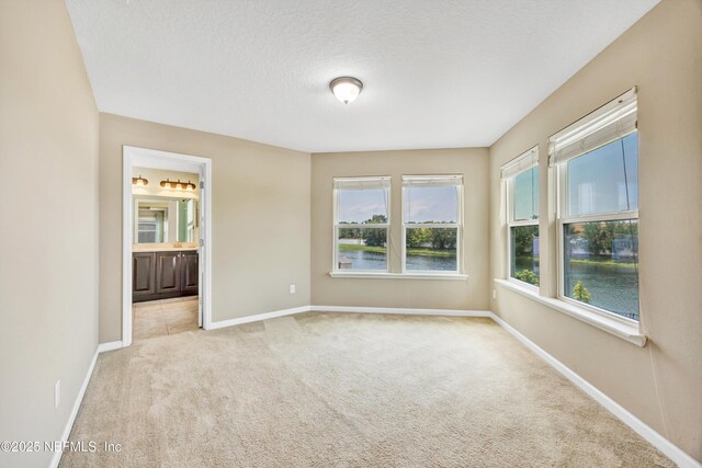 12237 Woodview Dr, Jacksonville, FL 32246 - photo 76