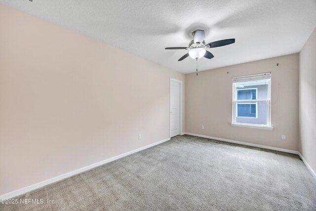 12237 Woodview Dr, Jacksonville, FL 32246 - photo 81