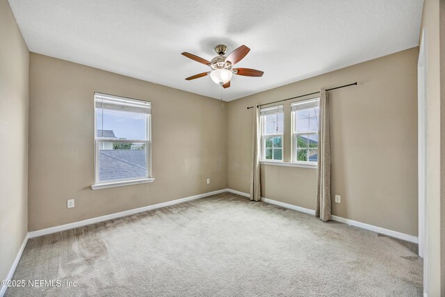 12237 Woodview Dr, Jacksonville, FL 32246 - photo 86