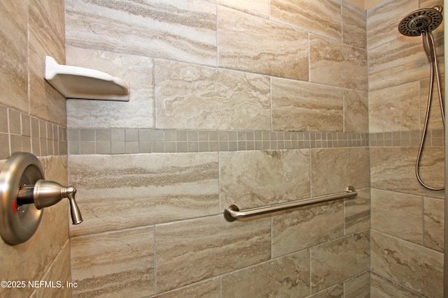 426 Harvest Bend Dr, Fleming Island, FL 32003 - bathroom view of tiled shower