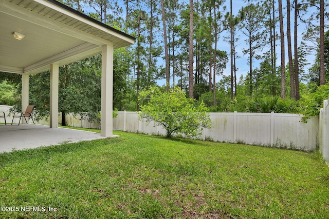 1090 Wetland Ridge Cir, Middleburg, FL 32068 - view of yard featuring a patio area