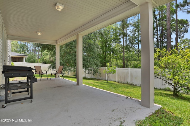 1090 Wetland Ridge Cir, Middleburg, FL 32068 - view of patio