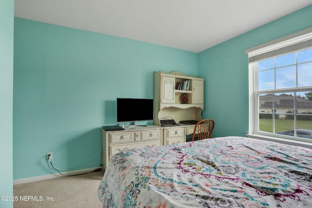 1090 Wetland Ridge Cir, Middleburg, FL 32068 - bedroom with light carpet and baseboards