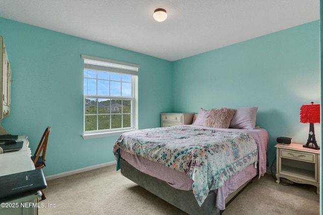 1090 Wetland Ridge Cir, Middleburg, FL 32068 - carpeted bedroom with baseboards