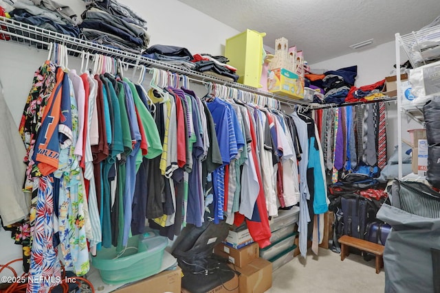 1090 Wetland Ridge Cir, Middleburg, FL 32068 - spacious closet featuring carpet