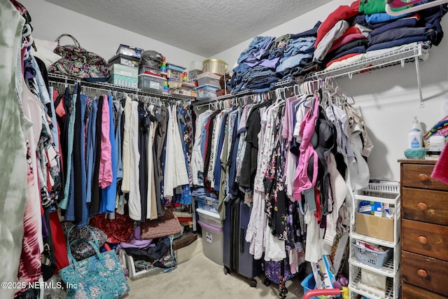 1090 Wetland Ridge Cir, Middleburg, FL 32068 - walk in closet with carpet