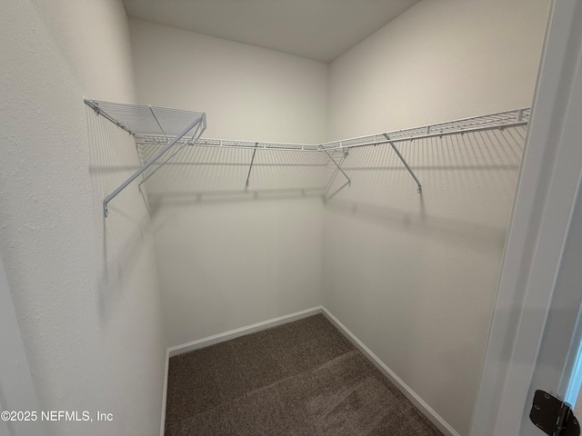 13525 Ute Pl, Jacksonville, FL 32218 - walk in closet with dark carpet