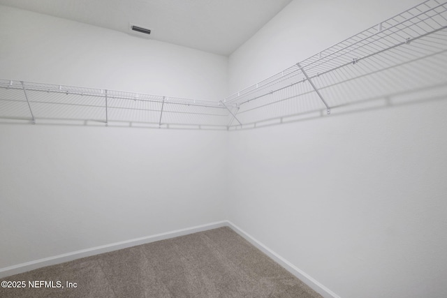 4648 Argand Dr, Jacksonville, FL 32218 - photo 23