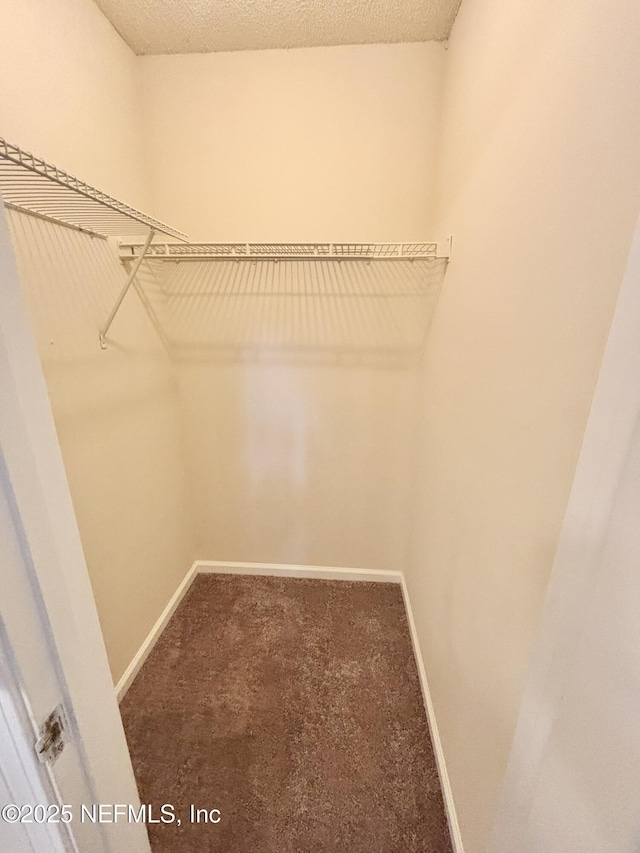 3951 Hunters Lake Cir W, Jacksonville, FL 32210 - walk in closet featuring carpet flooring