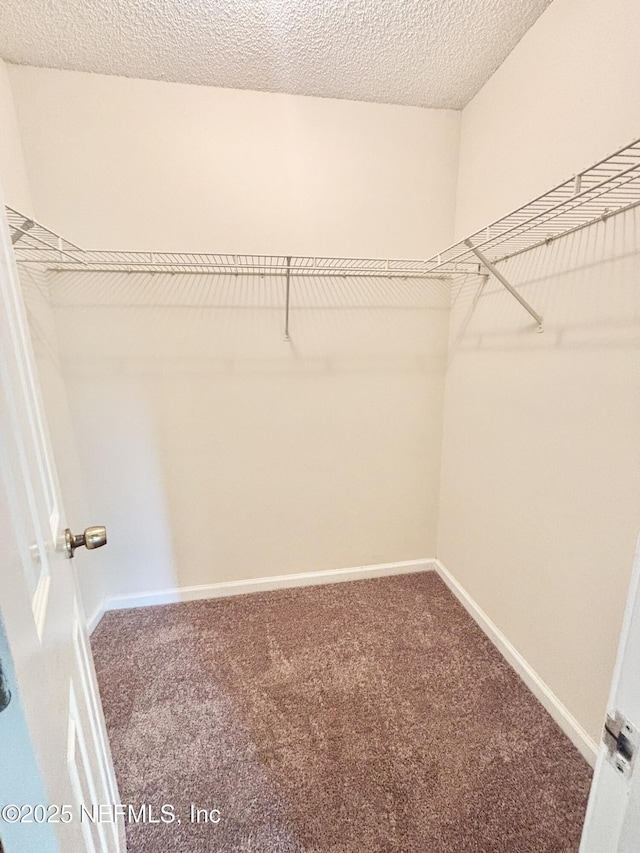 3951 Hunters Lake Cir W, Jacksonville, FL 32210 - spacious closet with carpet floors