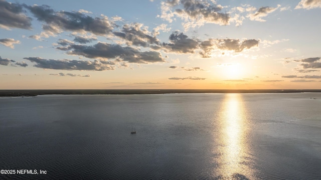 397 Oakmoss Dr, Saint Johns, FL 32259 - water view