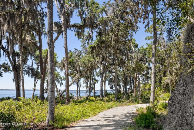 397 Oakmoss Dr, Saint Johns, FL 32259 - view of home's community with a water view
