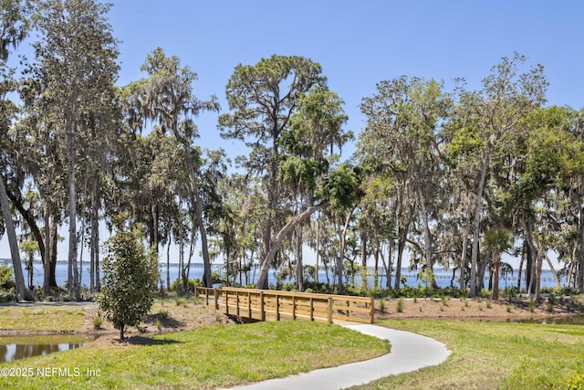 397 Oakmoss Dr, Saint Johns, FL 32259 - surrounding community featuring a water view and a yard