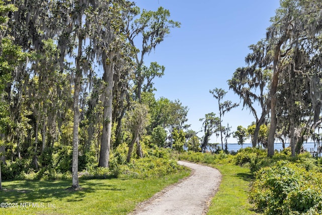 397 Oakmoss Dr, Saint Johns, FL 32259 - view of home's community featuring a water view and a yard
