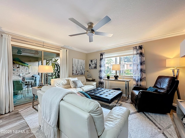 5375 Ortega Farms Blvd Unit 1011, Jacksonville, FL 32210 - living room featuring crown molding, a ceiling fan, and light wood-type flooring