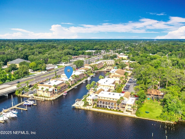 5375 Ortega Farms Blvd Unit 1011, Jacksonville, FL 32210 - aerial view of a heavily wooded area and a large body of water