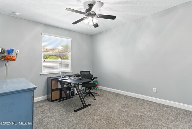 181 Coosaw Ct, Saint Johns, FL 32259 - photo 26