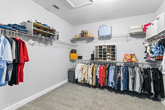 181 Coosaw Ct, Saint Johns, FL 32259 - photo 21