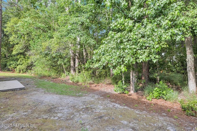 10861 Krugerrand Ln, Jacksonville, FL 32218 - photo 36