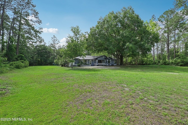 9620 Baylor Ave, Hastings, FL 32145 - view of green lawn