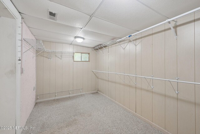 9620 Baylor Ave, Hastings, FL 32145 - spacious closet featuring carpet flooring and a paneled ceiling