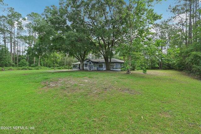 9620 Baylor Ave, Hastings, FL 32145 - view of green lawn
