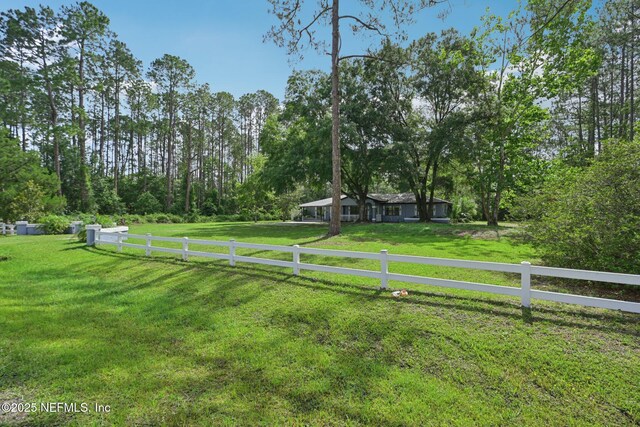 9620 Baylor Ave, Hastings, FL 32145 - view of yard