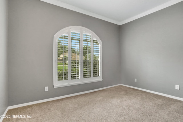 880 Buckeye Ln W, Saint Johns, FL 32259 - spare room with carpet floors, ornamental molding, and baseboards