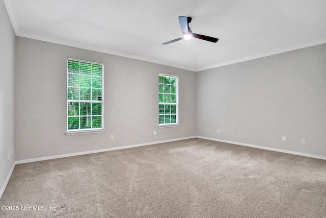 880 Buckeye Ln W, Saint Johns, FL 32259 - carpeted spare room featuring crown molding and a ceiling fan