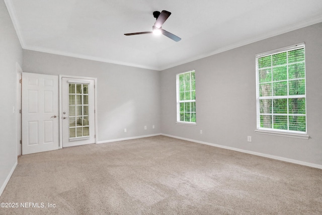 880 Buckeye Ln W, Saint Johns, FL 32259 - carpeted spare room featuring crown molding, a ceiling fan, and baseboards