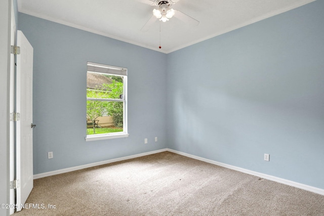 880 Buckeye Ln W, Saint Johns, FL 32259 - carpeted spare room featuring a ceiling fan, crown molding, and baseboards