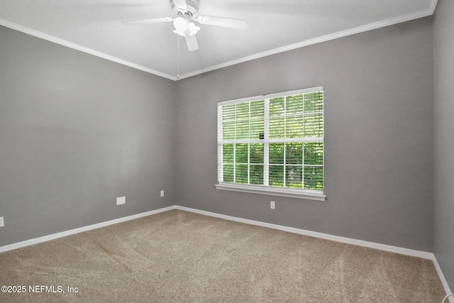 880 Buckeye Ln W, Saint Johns, FL 32259 - unfurnished room with carpet flooring, a ceiling fan, and crown molding